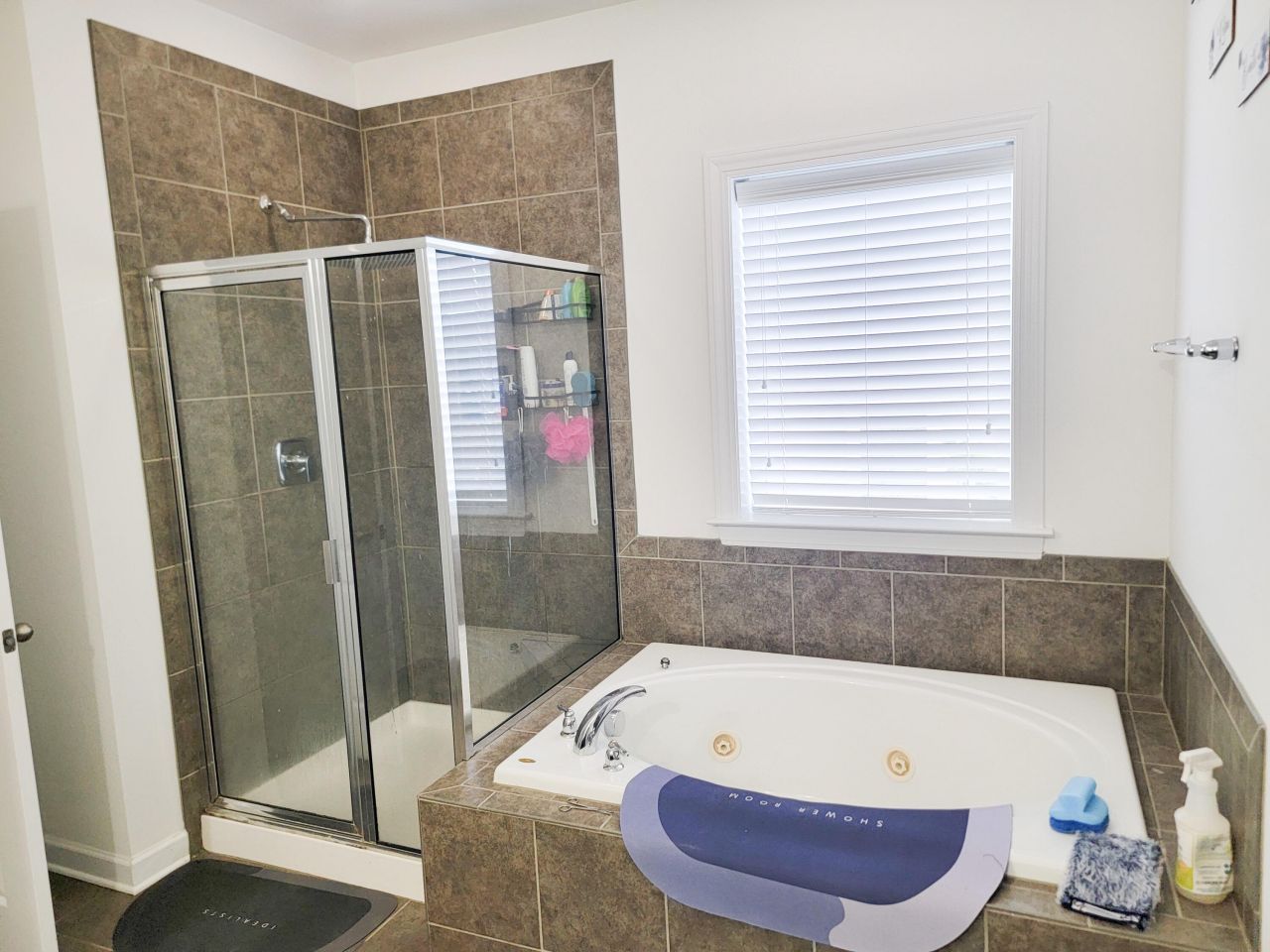 244 Devonshire Drive Photo 14