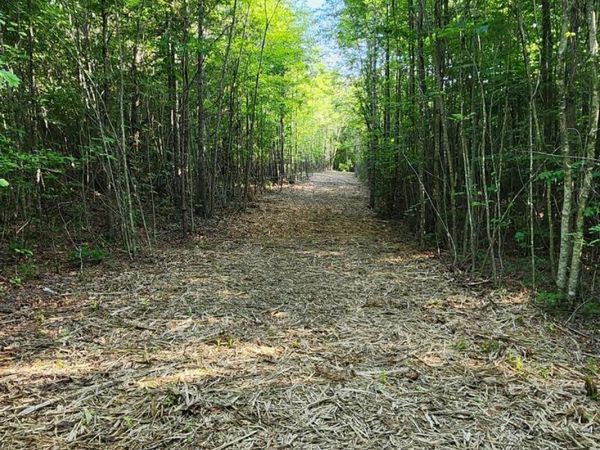 0 Tootley Campbell Road, Monteagle, TN 37356