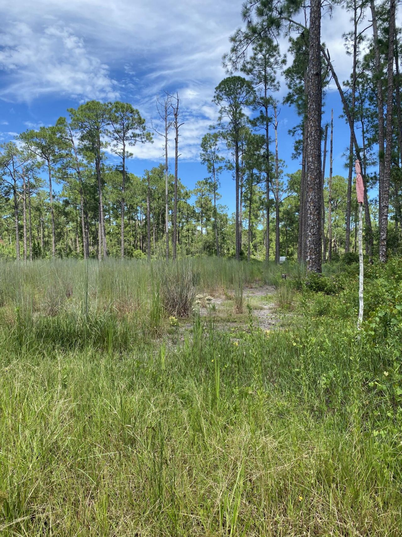 418 Gaillardia Drive, Lake Wales, FL 33855 Photo