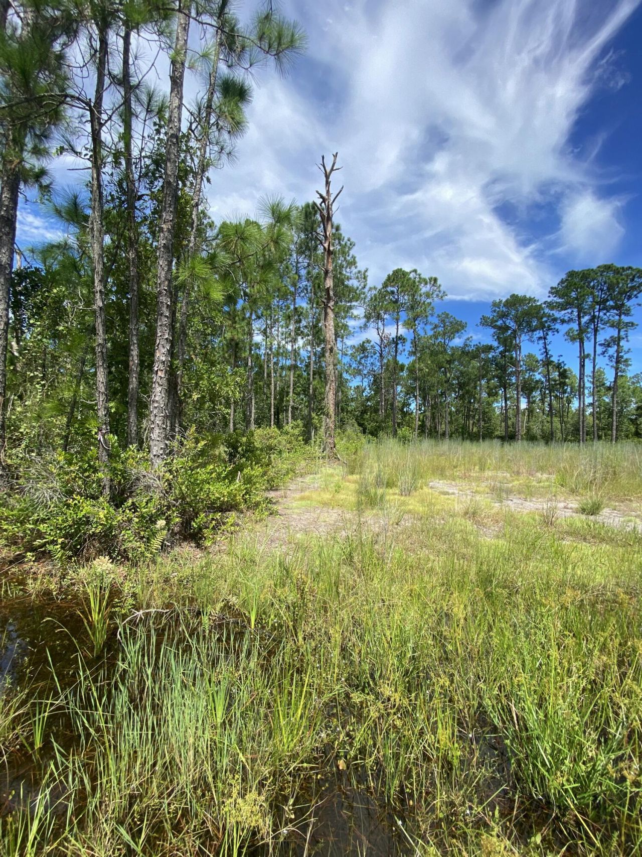 418 Gaillardia Drive, Lake Wales, FL 33855 Photo