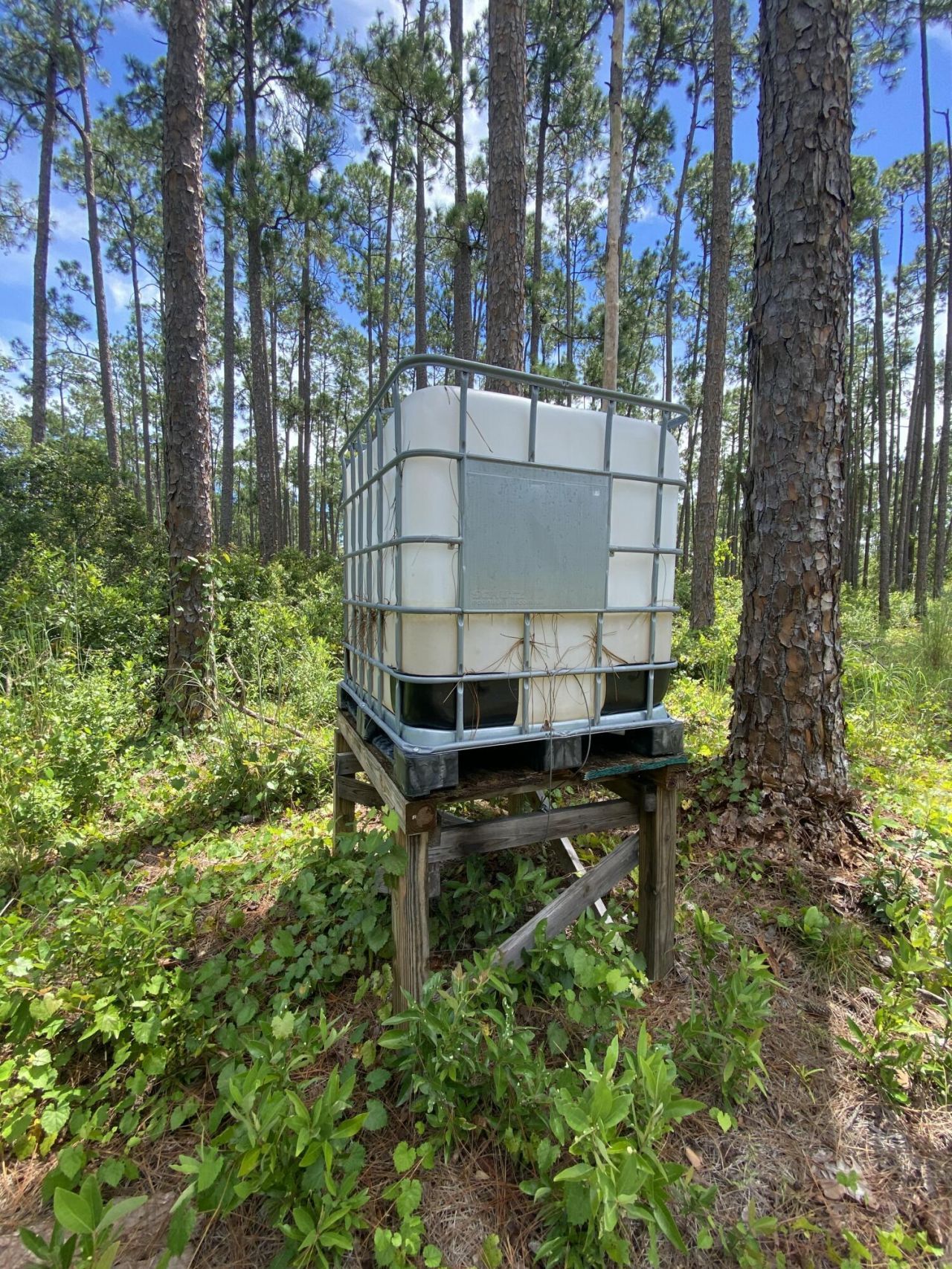 418 Gaillardia Drive, Lake Wales, FL 33855 Photo