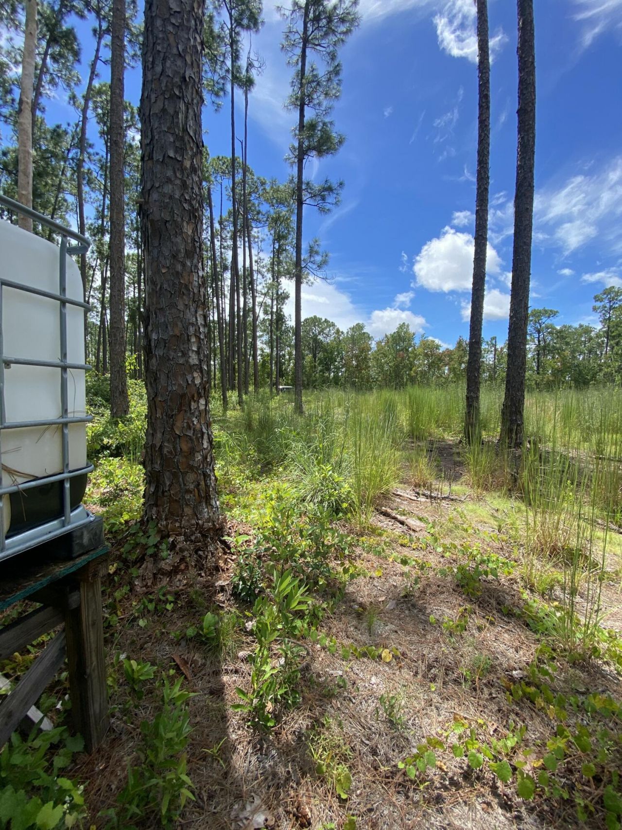 418 Gaillardia Drive, Lake Wales, FL 33898 Photo