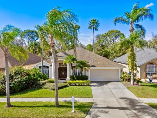 18908 FAIRWOOD COURT, TAMPA, FL 33647