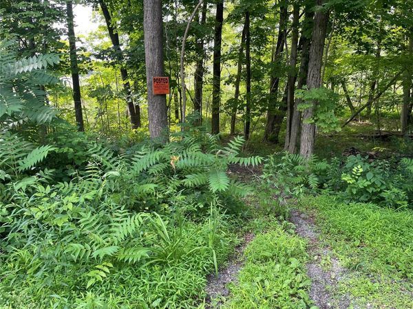 0 Fiddler's Bridge/Schoolhouse Rd, Clinton Corners, NY 00000