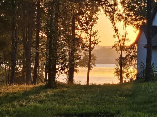 lot 43 Sunset Harbor, Dandridge, TN 37725