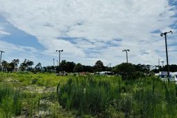 910 Highway 17 South photo 4