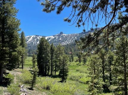 835 Columbine Circle, Kirkwood, CA 95646 Photo