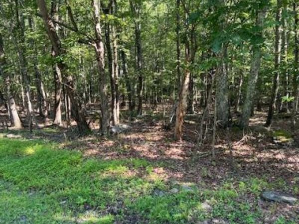 POCONO FORESTED DRIVE, EAST STROUDSBURG, PA 18302