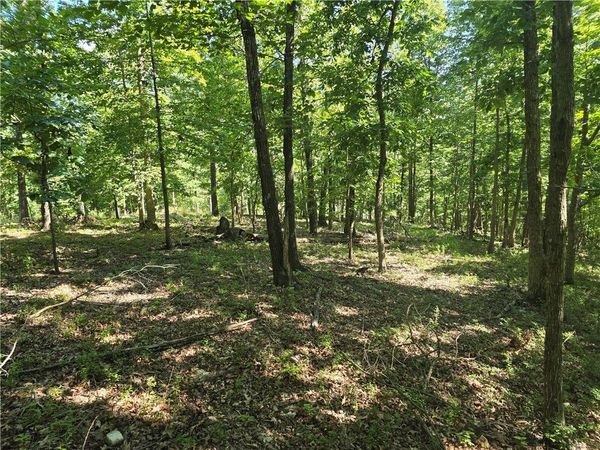 Lot 7 Esculapia Hollow Road, Rogers, AR 72758