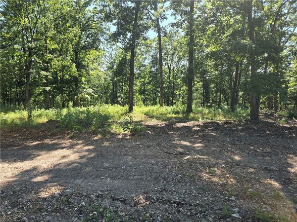 Lot 9 Esculapia Hollow Road, Rogers, AR 72758