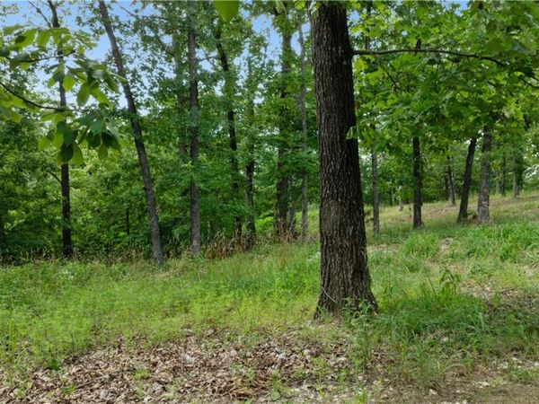 Lot 5 Esculapia Hollow Road, Rogers, AR 72758