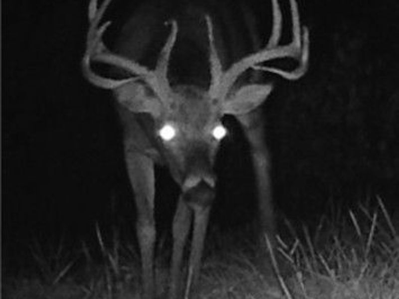 360 Glass Road, Malta, OH 43758 Photo 23