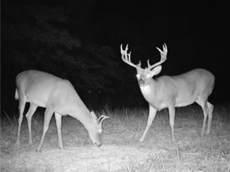 360 Glass Road, Malta, OH 43758 Photo 24