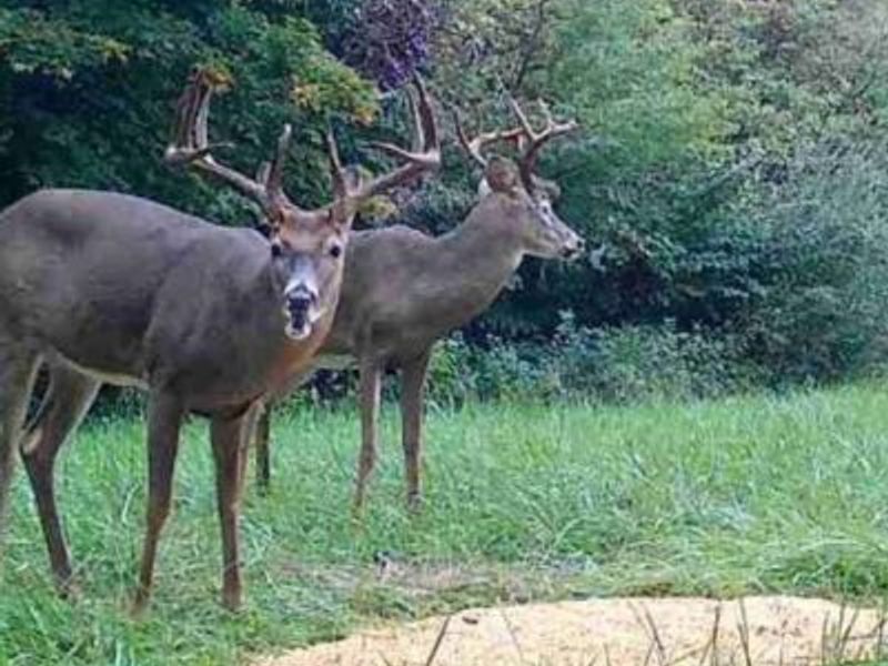 360 Glass Road, Malta, OH 43758 Photo 25