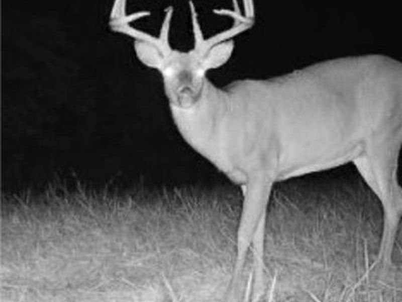 360 Glass Road, Malta, OH 43758 Photo 26