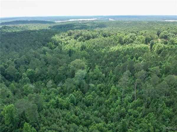 0 Hopewell Road, Vance, AL 35490