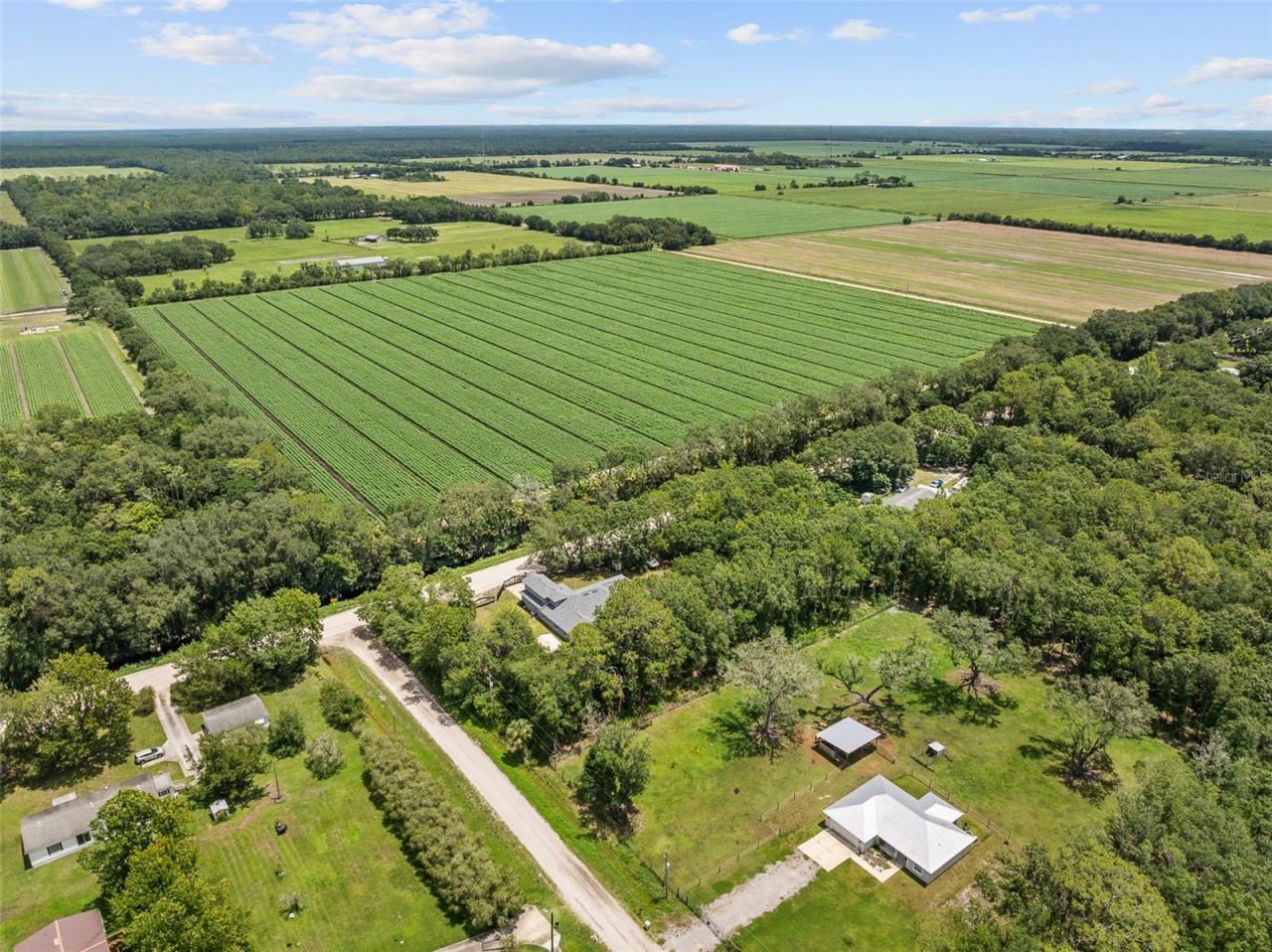 4191 Canal Avenue, Bunnell, FL 32110 Photo