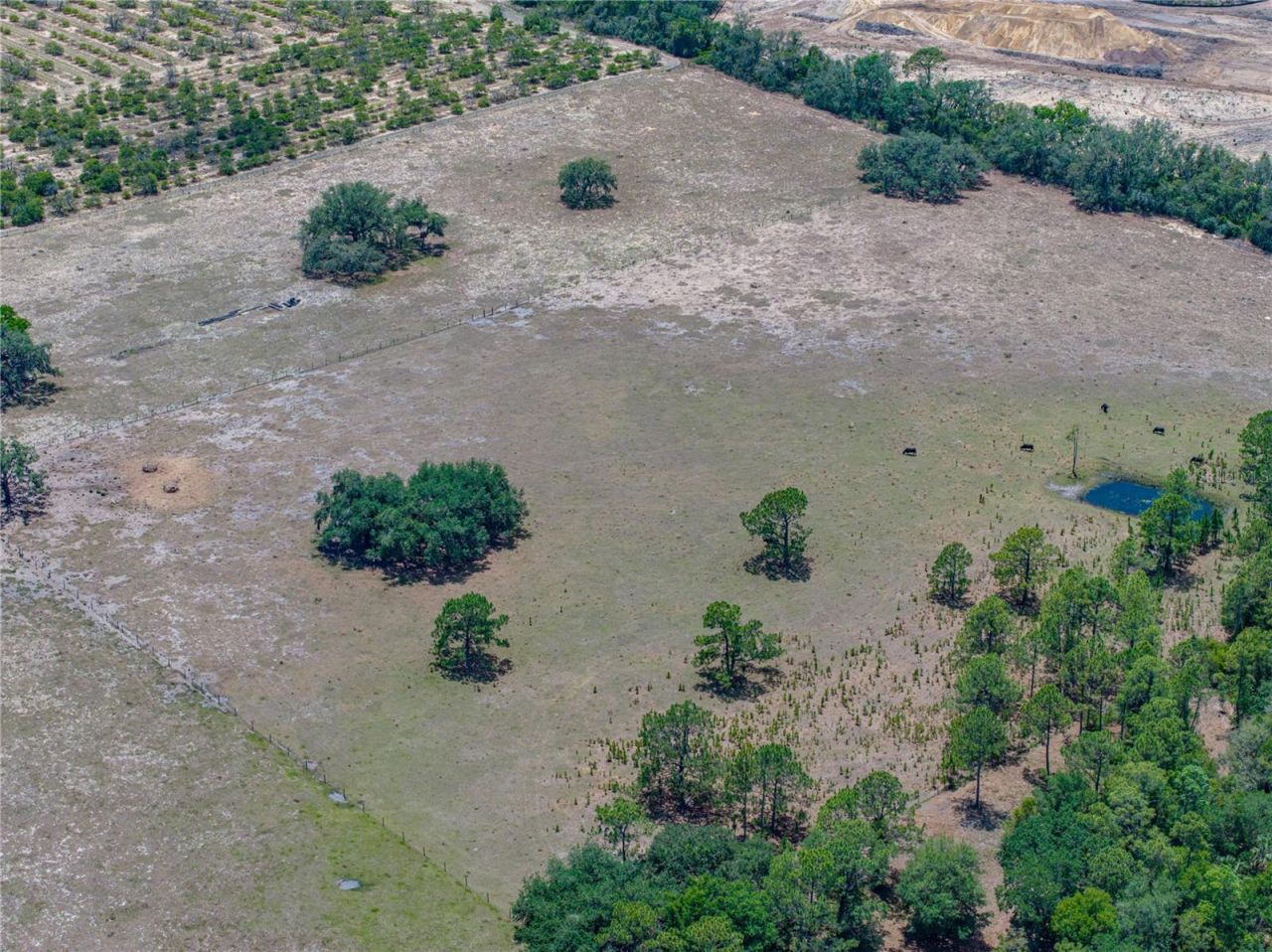 10790 Jim Edwards Road, Haines City, FL 33844 Photo