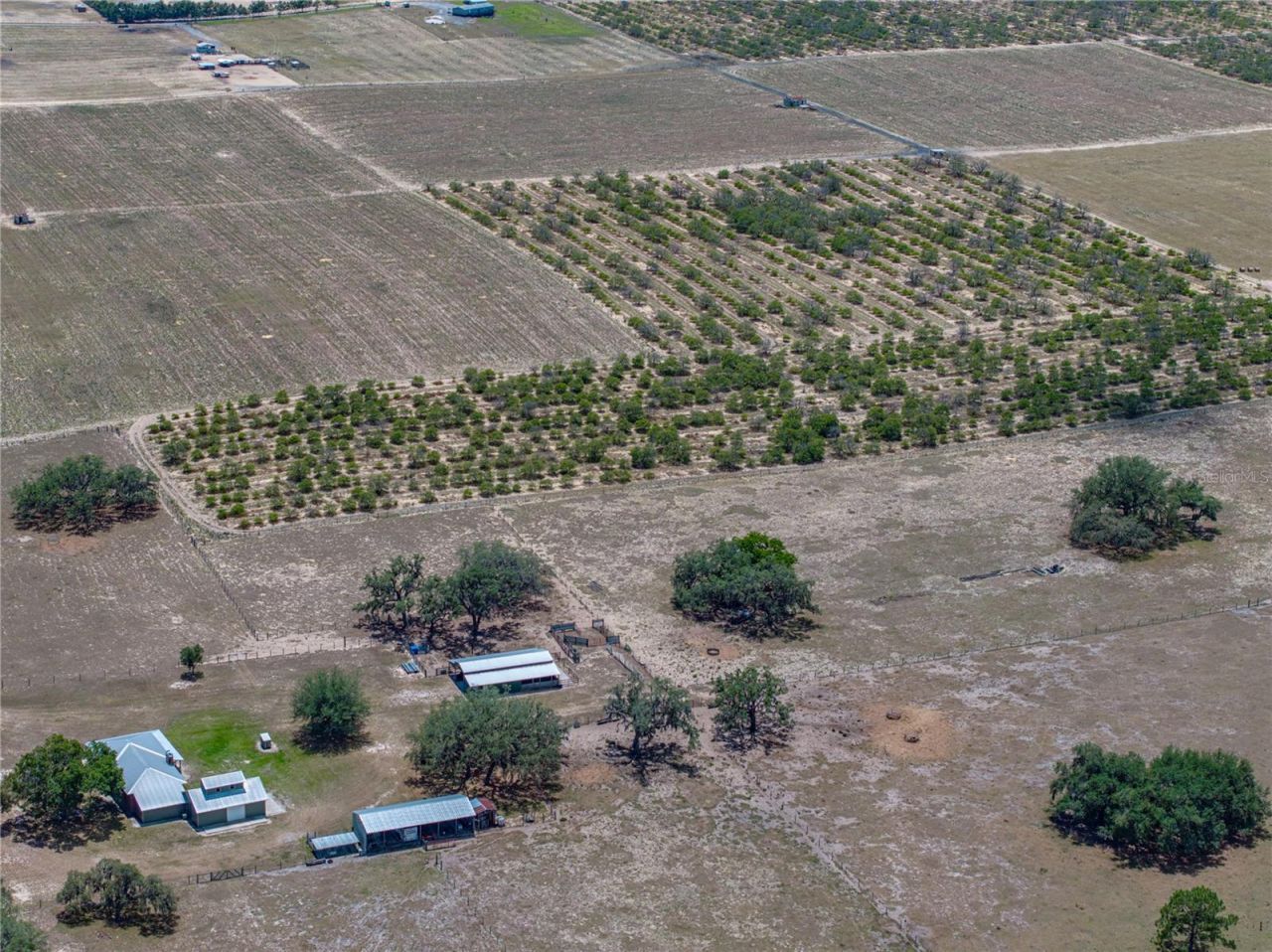 10790 Jim Edwards Road, Haines City, FL 33844 Photo