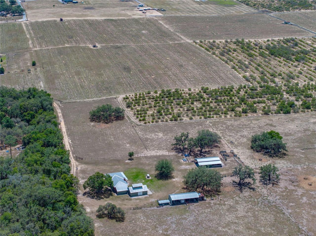 10790 Jim Edwards Road, Haines City, FL 33844 Photo