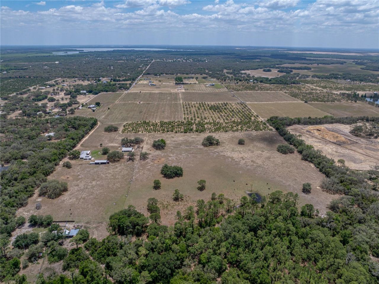 10790 Jim Edwards Road, Haines City, FL 33844 Photo