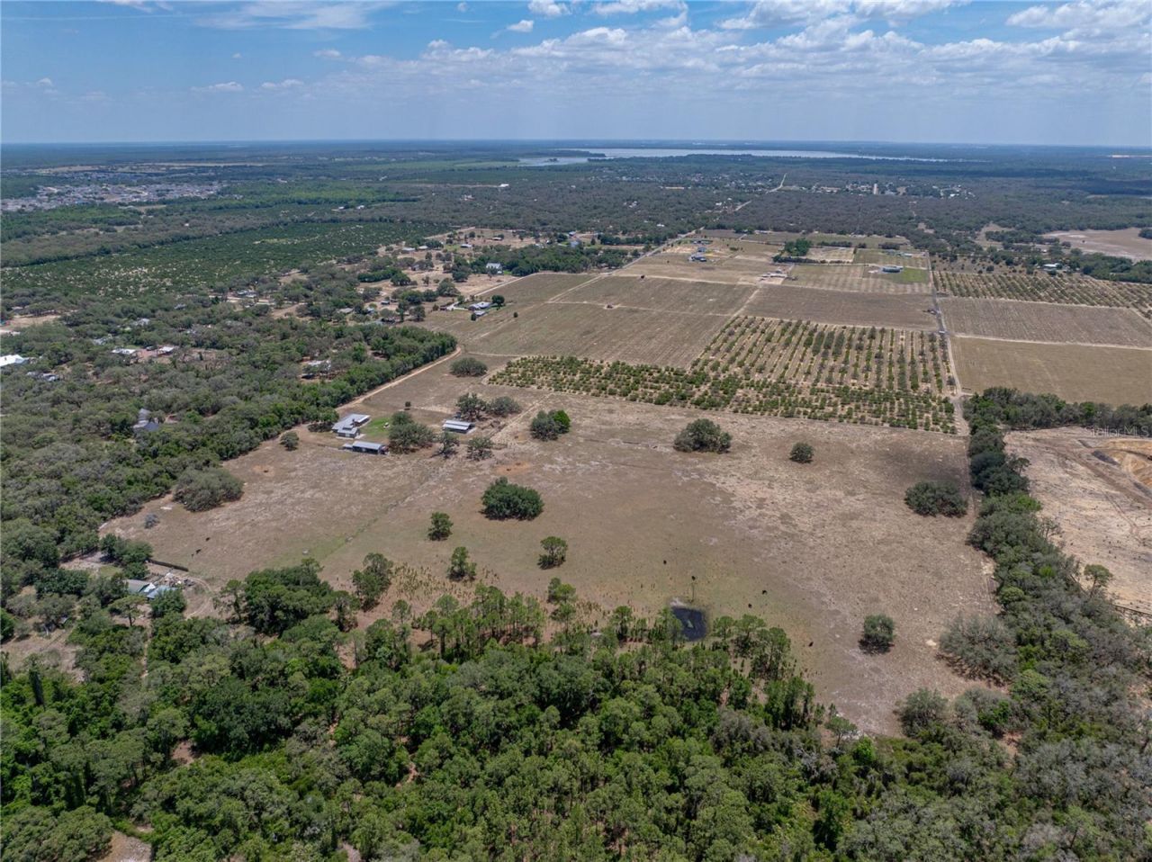 10790 Jim Edwards Road, Haines City, FL 33844 Photo