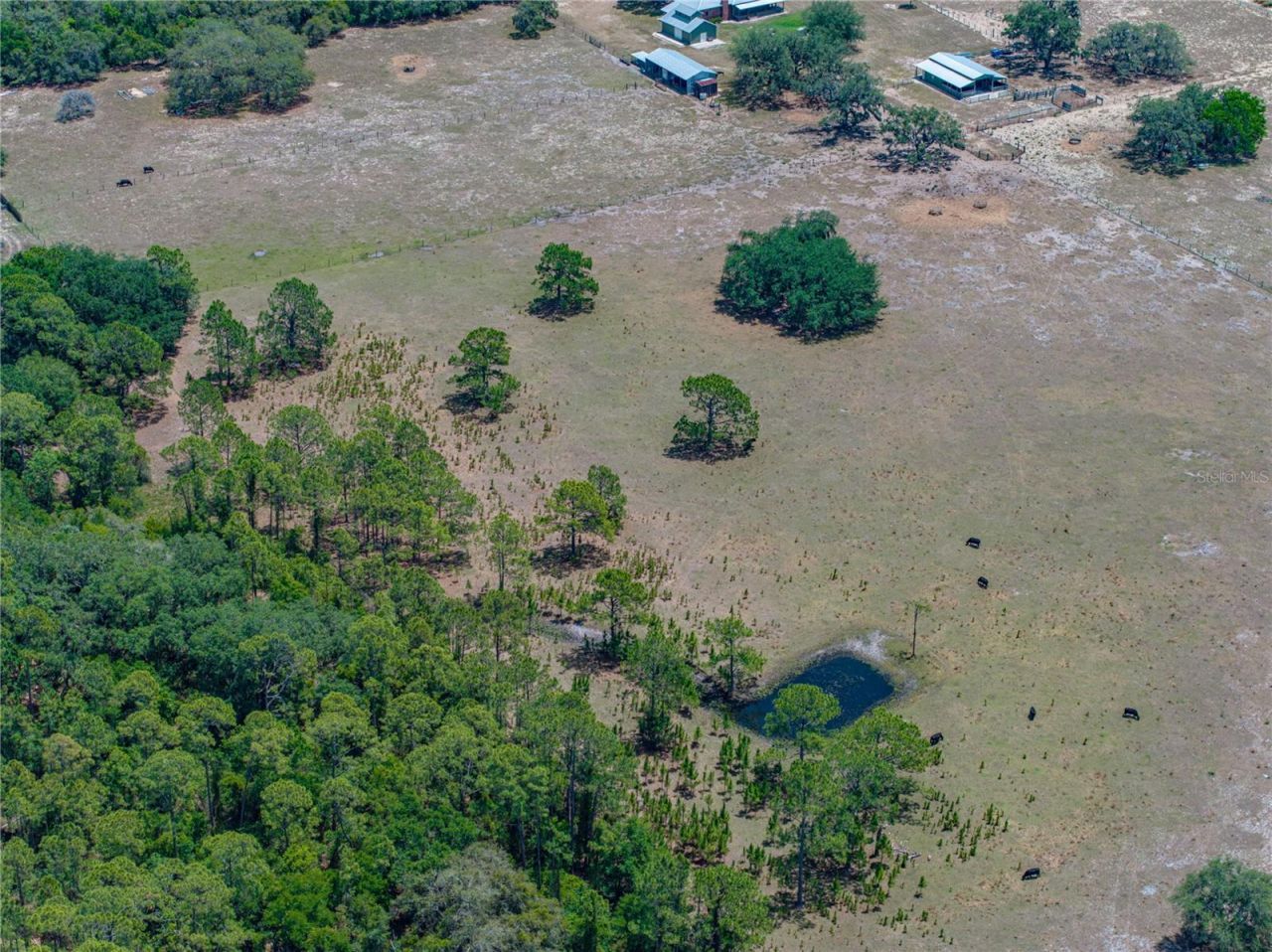 10790 Jim Edwards Road, Haines City, FL 33844 Photo