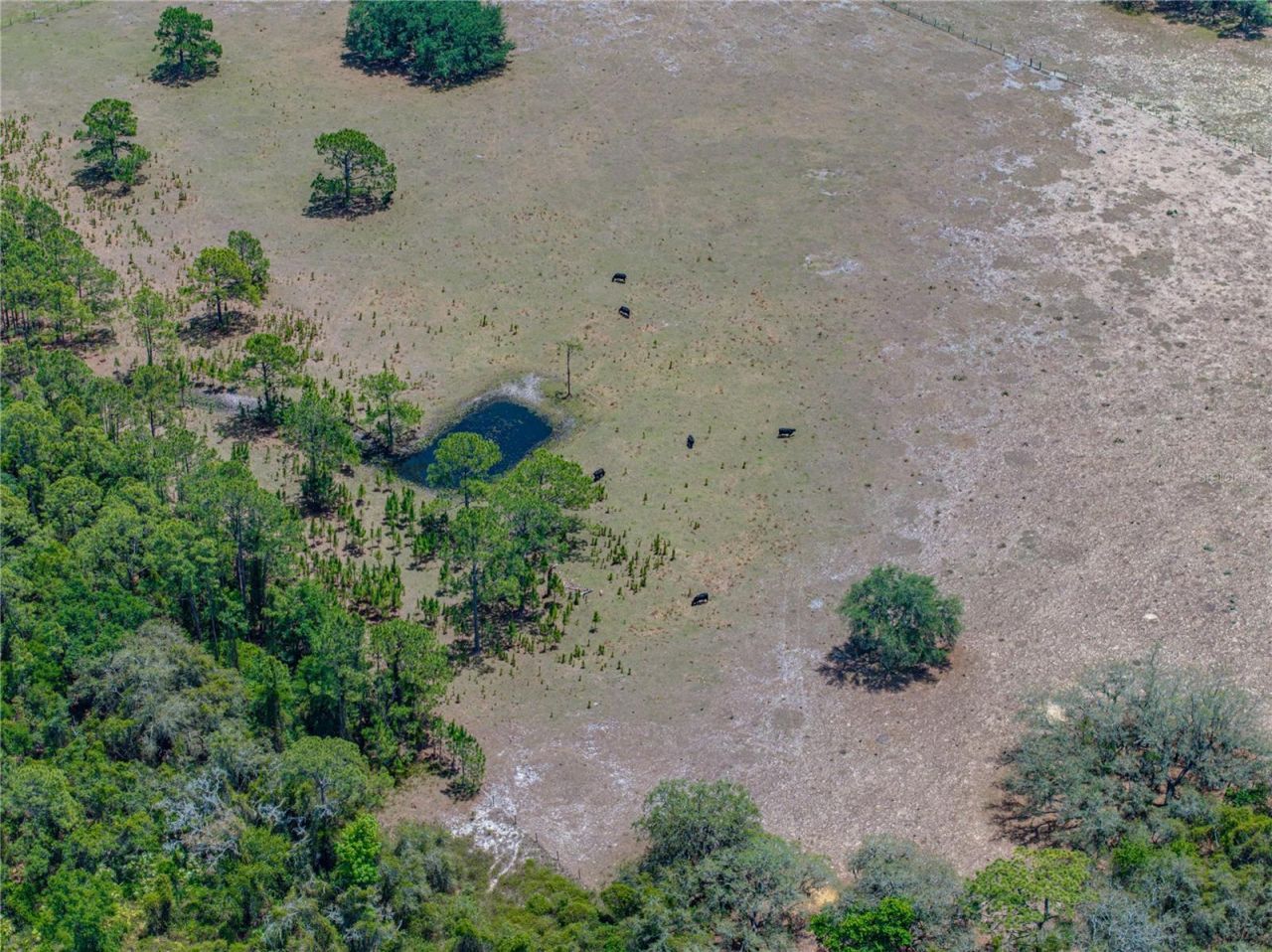 10790 Jim Edwards Road, Haines City, FL 33844 Photo