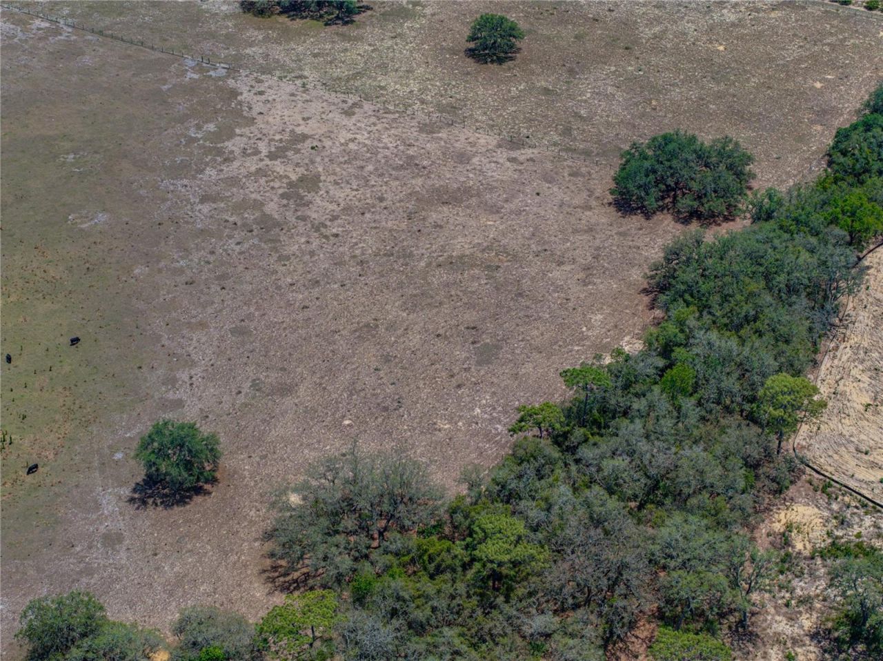 10790 Jim Edwards Road, Haines City, FL 33844 Photo