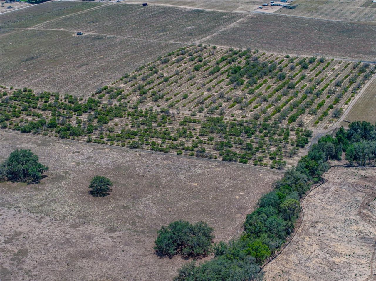 10790 Jim Edwards Road, Haines City, FL 33844 Photo