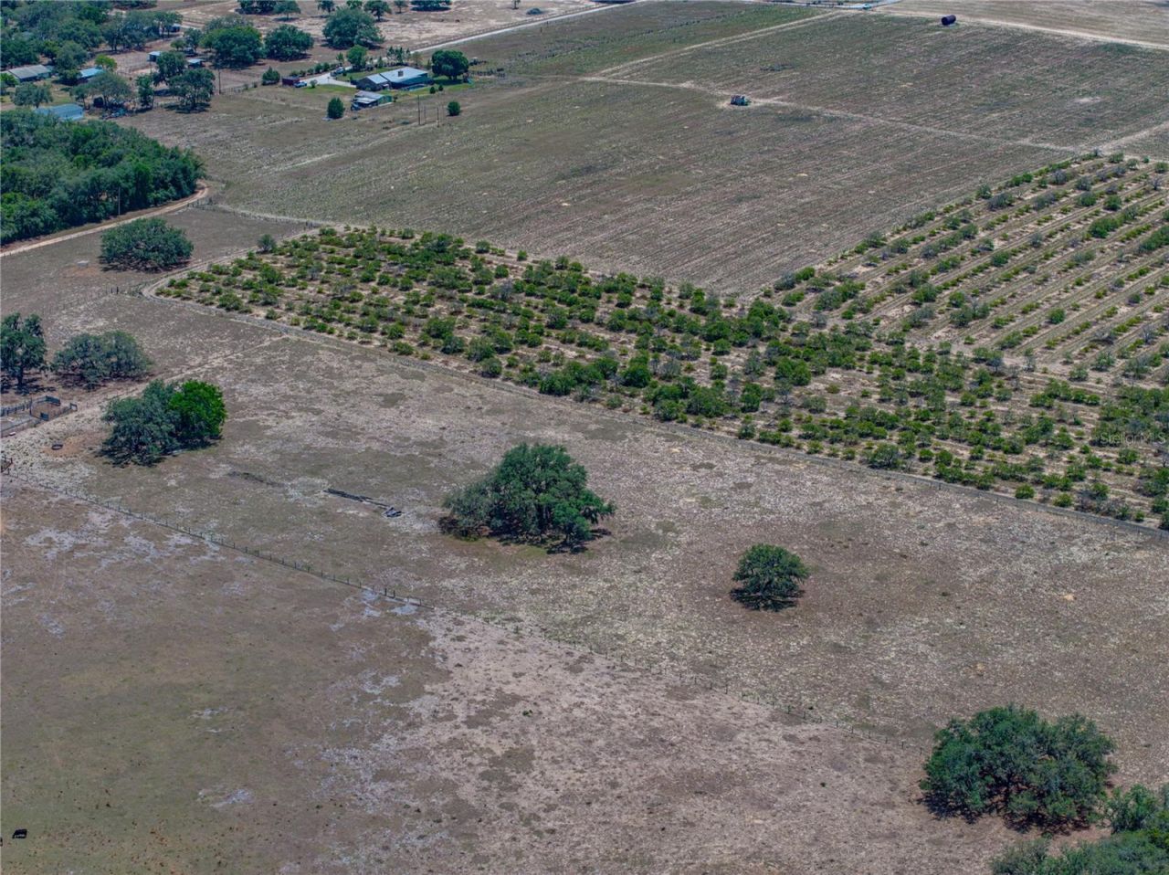 10790 Jim Edwards Road, Haines City, FL 33844 Photo