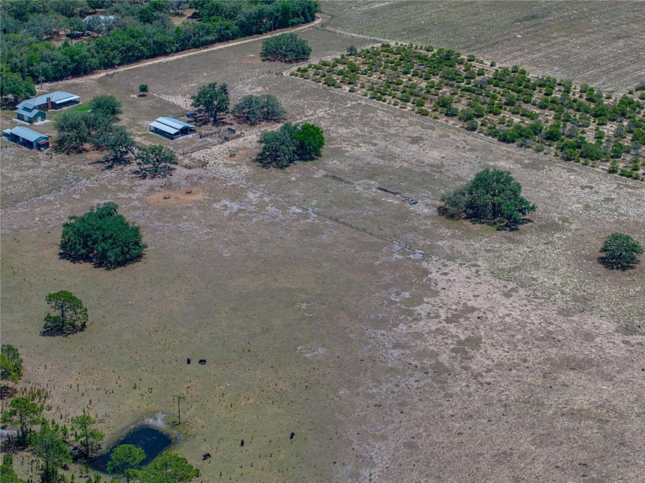 10790 Jim Edwards Road, Haines City, FL 33844 Photo