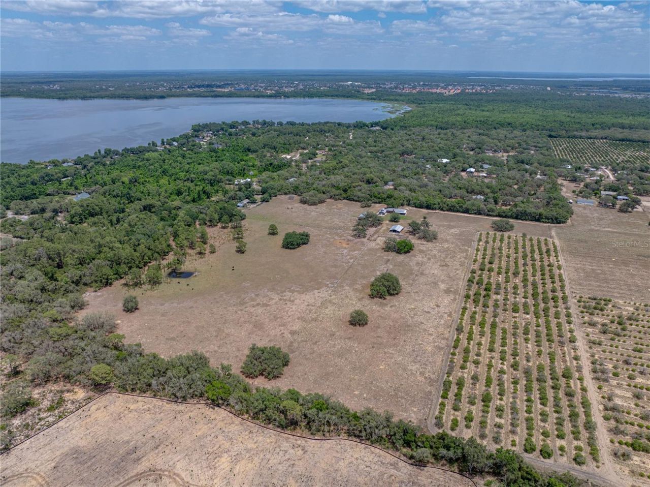 10790 Jim Edwards Road, Haines City, FL 33844 Photo