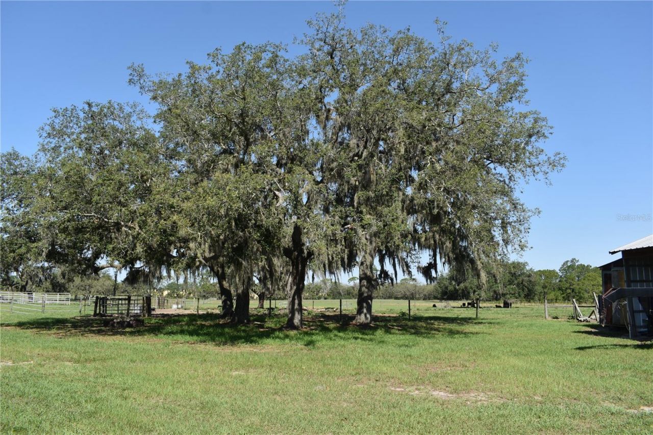 10790 Jim Edwards Road, Haines City, FL 33844 Photo