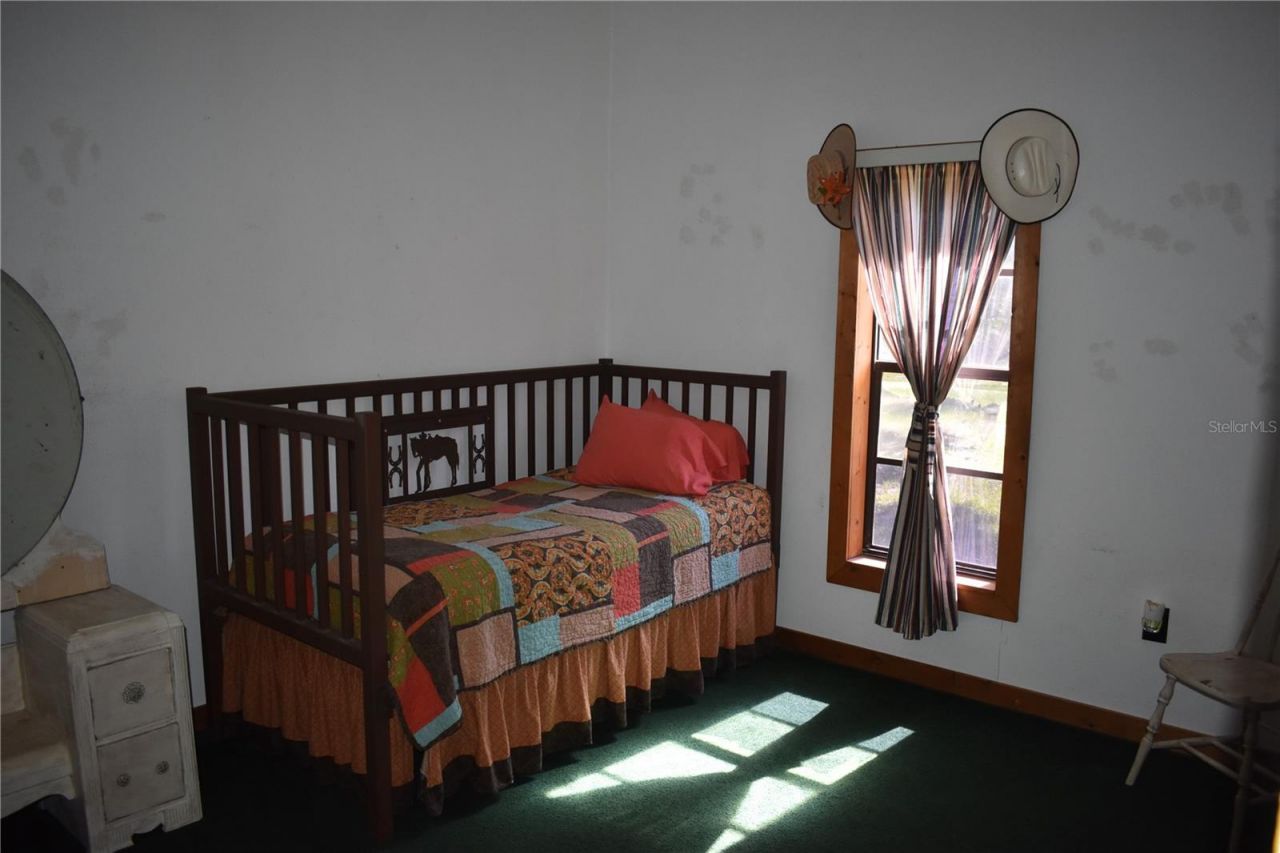 10790 Jim Edwards Road, Haines City, FL 33844 Photo