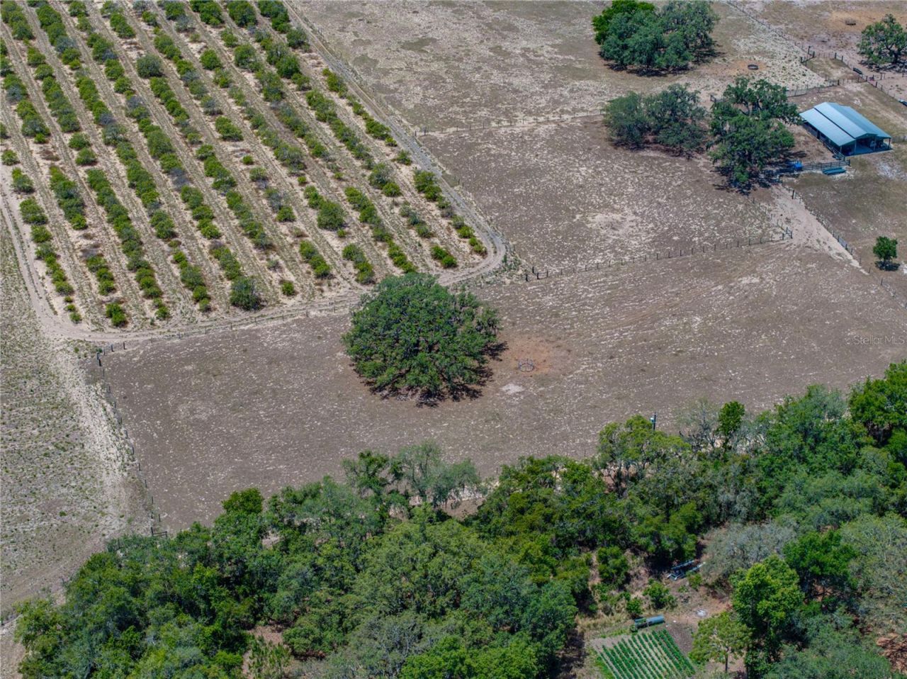 10790 Jim Edwards Road, Haines City, FL 33844 Photo