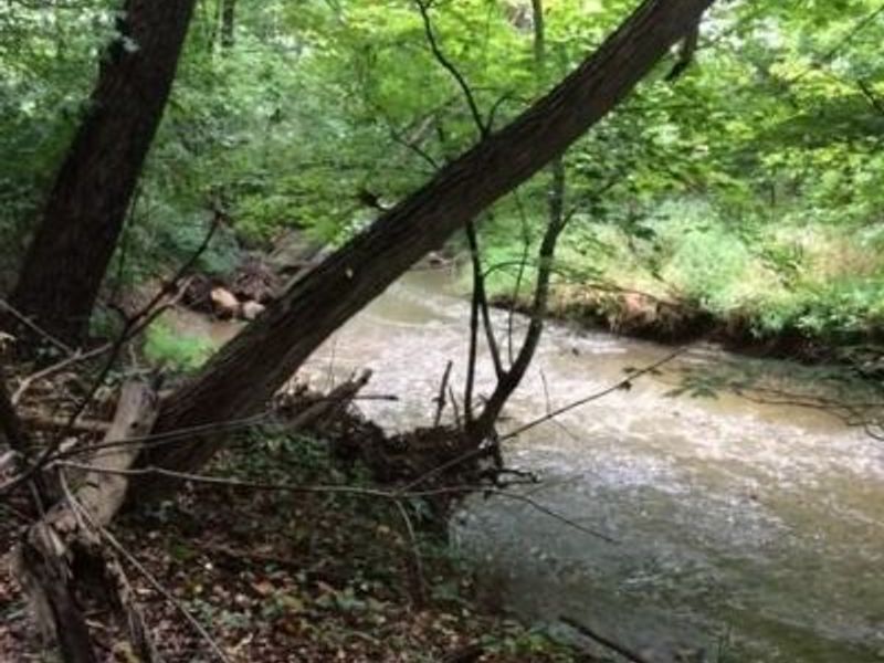 8036 Fair Road, Strongsville, OH 44149 Photo 5