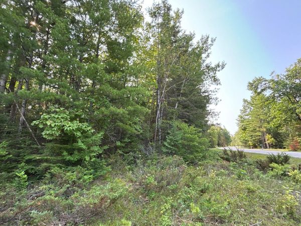 Lot 345 Kauffman Road, Presque Isle, MI 49777