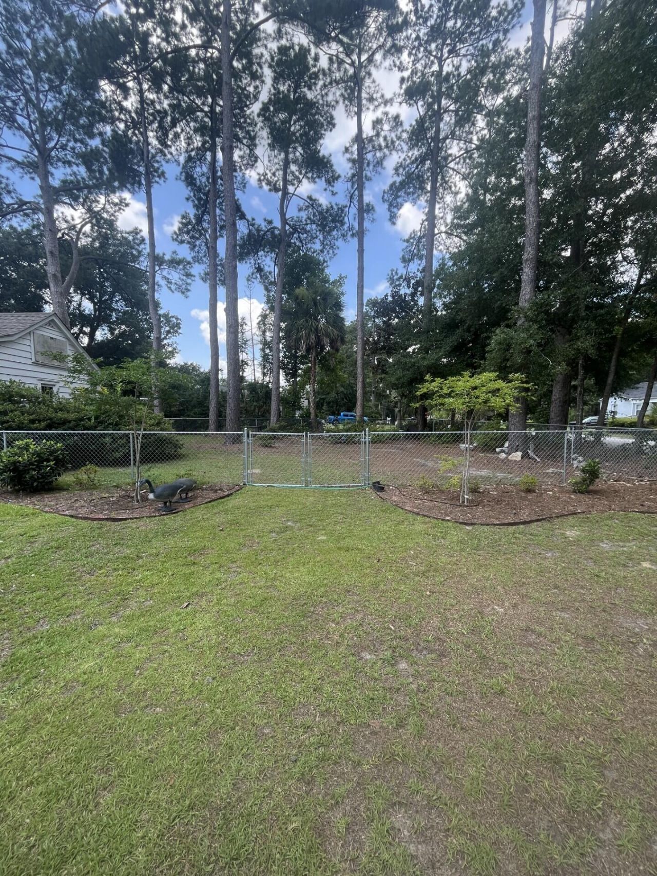 213 May Street Photo 21