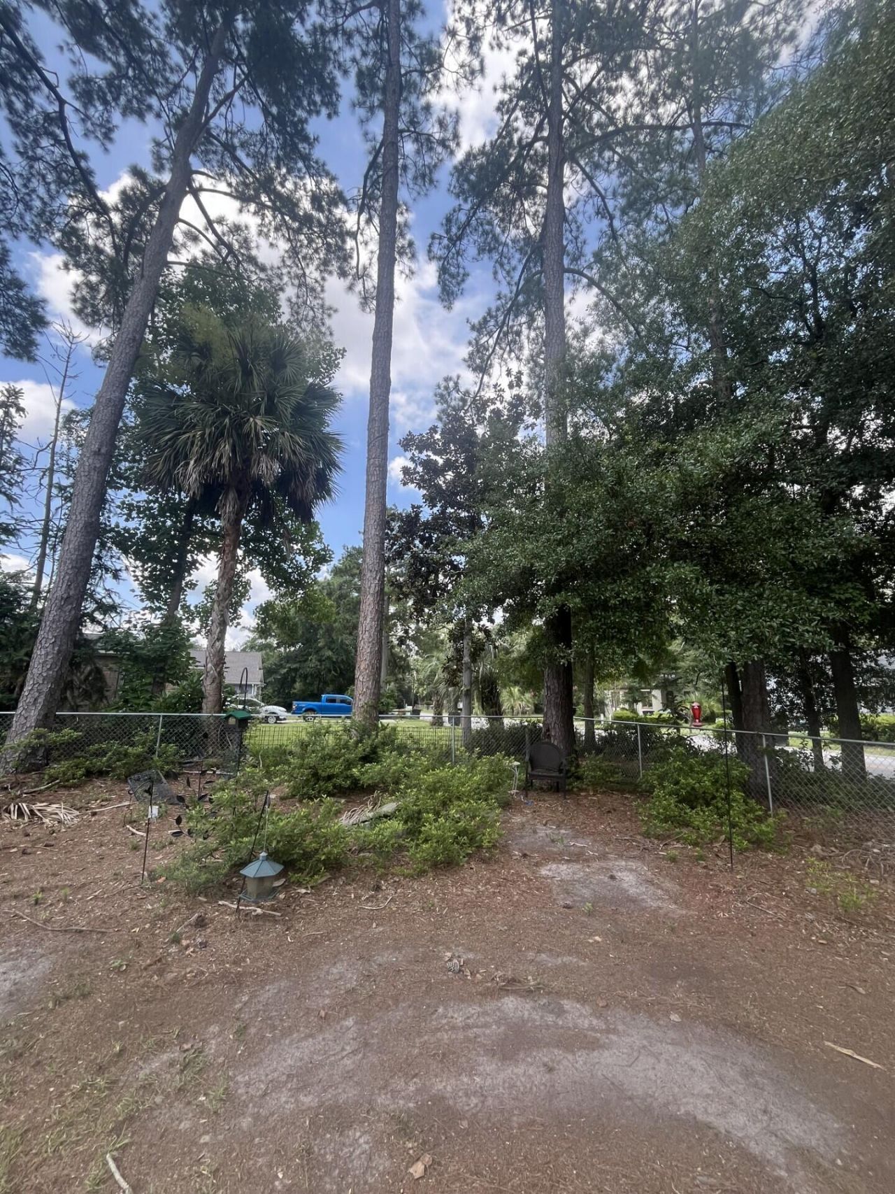 213 May Street Photo 23