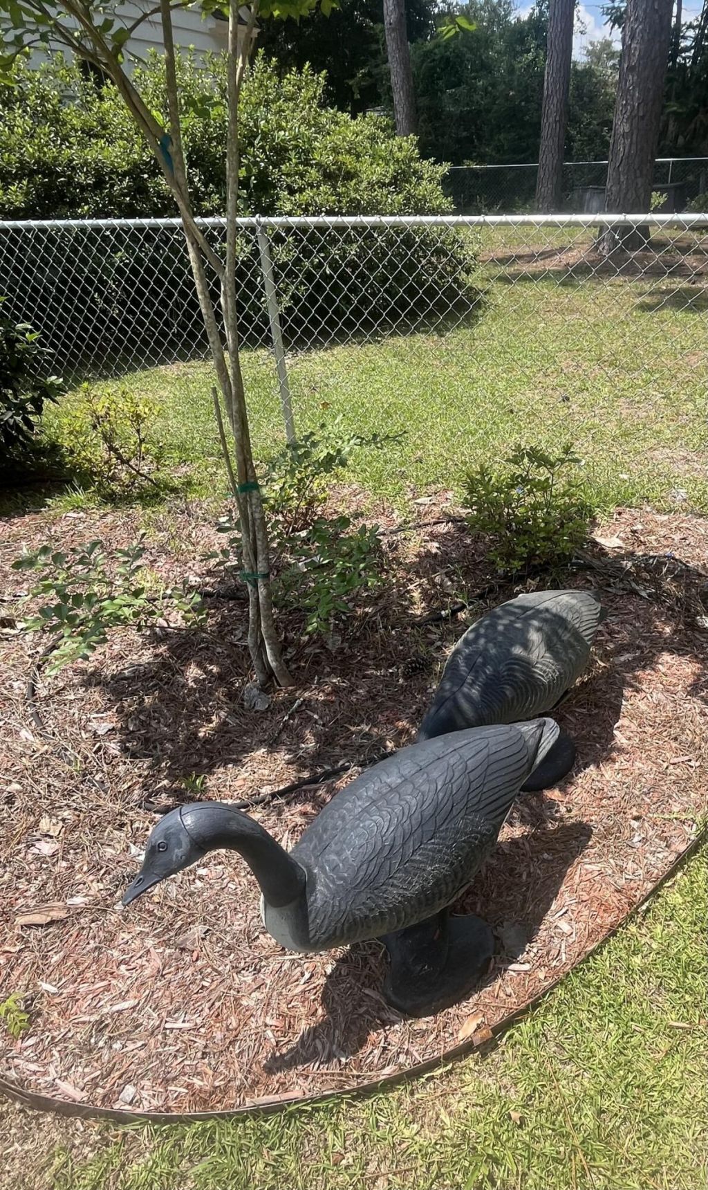 213 May Street Photo 26