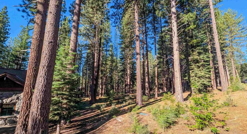 11561 Bottcher Loop, Truckee, CA 96161 Photo