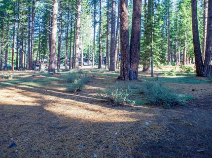 11561 Bottcher Loop, Truckee, CA 96161 Photo