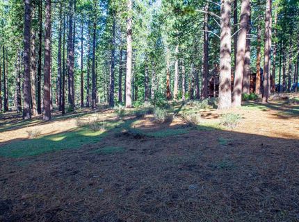 11561 Bottcher Loop, Truckee, CA 96161 Photo