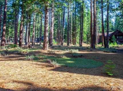 11561 Bottcher Loop, Truckee, CA 96161 Photo