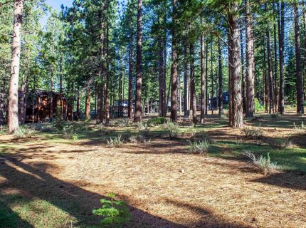11561 Bottcher Loop, Truckee, CA 96161 Photo