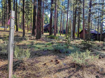 11561 Bottcher Loop, Truckee, CA 96161 Photo