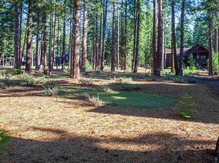 11561 Bottcher Loop, Truckee, CA 96161 Photo