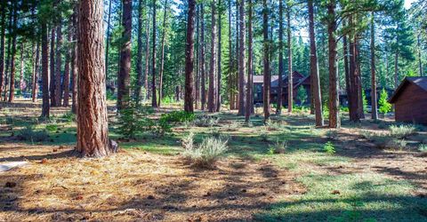 11561 Bottcher Loop, Truckee, CA 96161 Photo