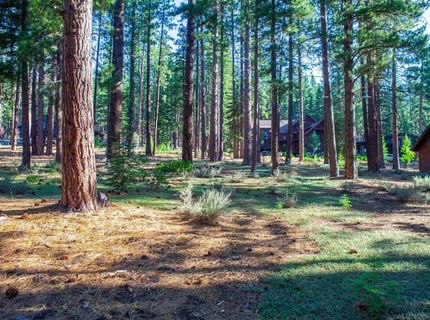 11561 Bottcher Loop, Truckee, CA 96161 Photo